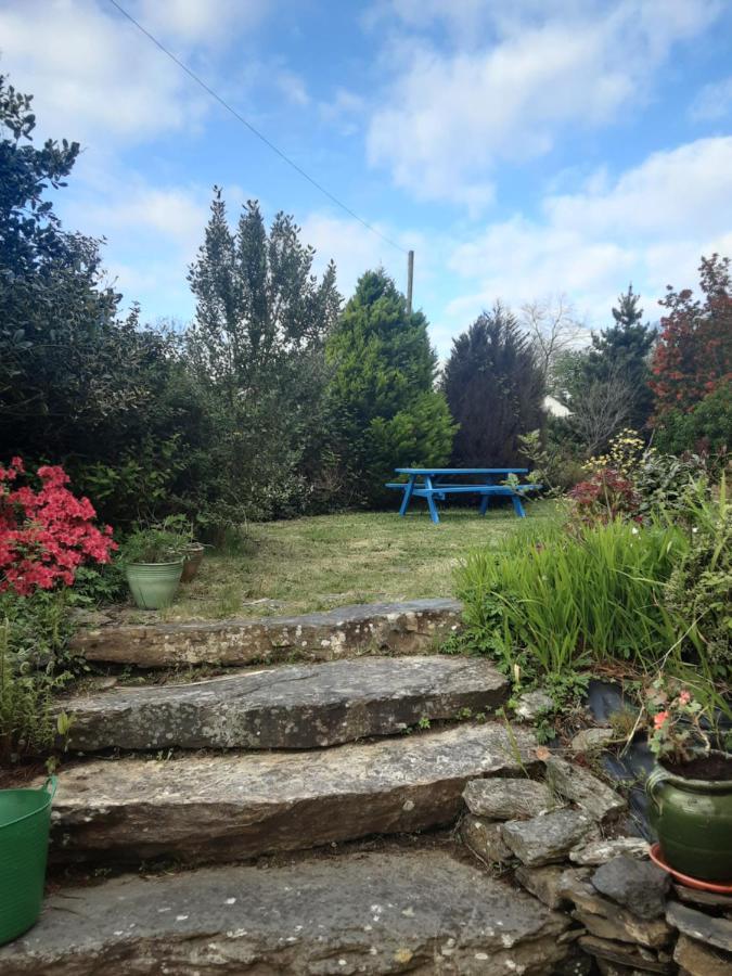 Sea Lodge B&B Durrus Exteriör bild