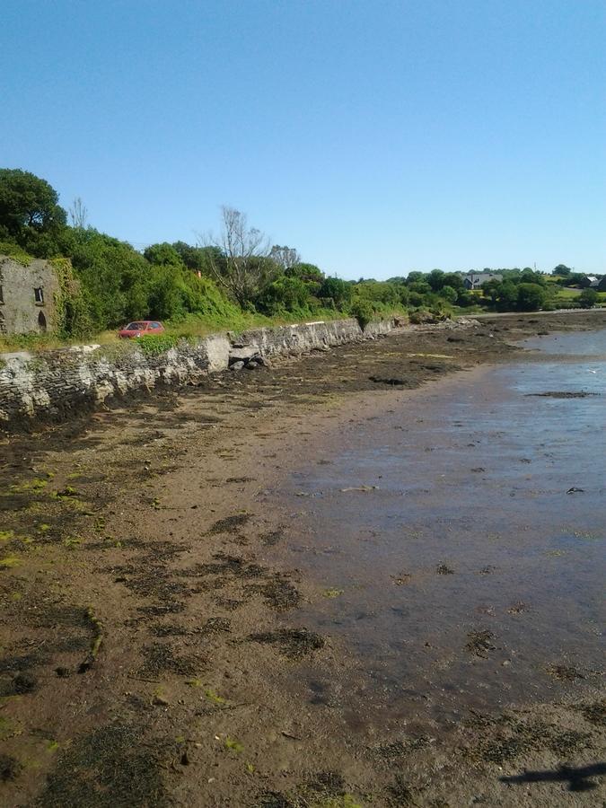Sea Lodge B&B Durrus Exteriör bild