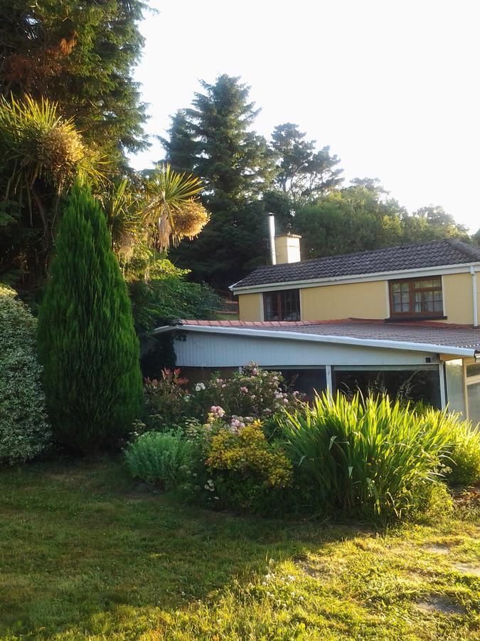 Sea Lodge B&B Durrus Exteriör bild