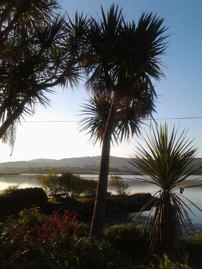 Sea Lodge B&B Durrus Exteriör bild